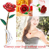 24K Gold Dipped Real Rose Luxury Christmas Set With Love Letter and Necklace