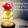 Beauty and the Beast Rose in a Glass Dome with Necklace and Love Letter