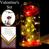 Beauty and the Beast Rose in a Glass Dome with Necklace and Love Letter